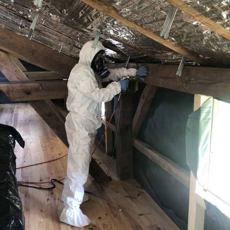 Technicien BDX Termites en combinaison de protection traitant une poutre de charpente en Gironde